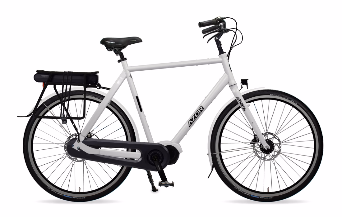 Flevoland Shimano Steps Heren Schijfrem