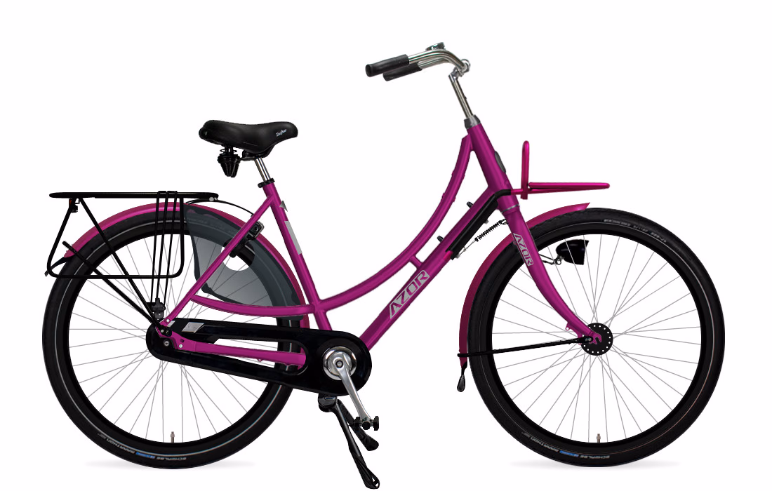 Nieuw Frame · Sterk Texel Oma Pickup
